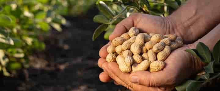 Product Catalogue Hero