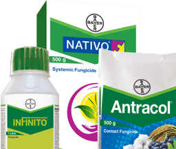 Locate shops selling Bayer products near you!