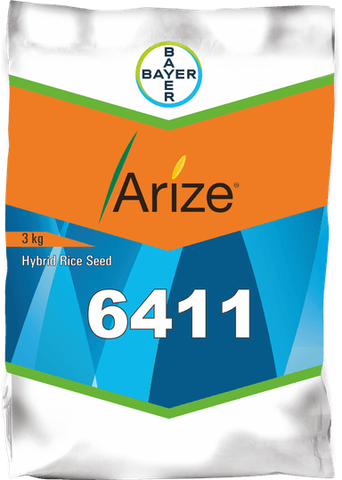 அரைஸ் 6411 கோல்ட்