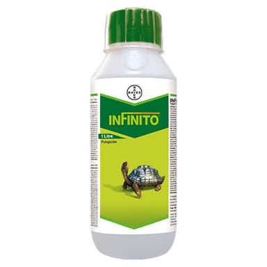 ਇਨਫਿਨਿਟੋ