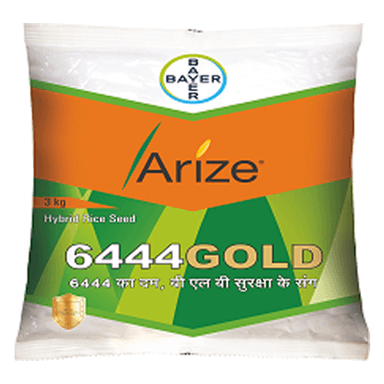 Arize 6444 Gold